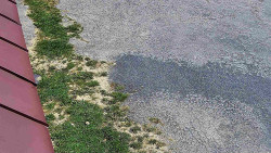 Nástup na běžecké tratě