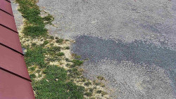 Nástup na běžecké tratě