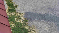 Nástup na běžecké tratě