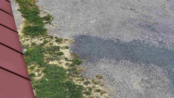 Nástup na běžecké tratě