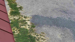 Nástup na běžecké tratě