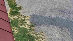 Nástup na běžecké tratě