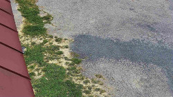 Nástup na běžecké tratě