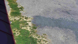 Nástup na běžecké tratě