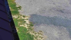 Nástup na běžecké tratě