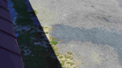 Nástup na běžecké tratě