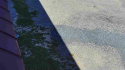 Nástup na běžecké tratě