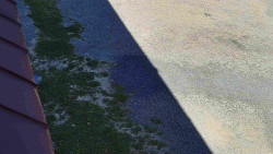 Nástup na běžecké tratě