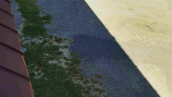 Nástup na běžecké tratě