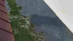 Nástup na běžecké tratě