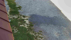 Nástup na běžecké tratě