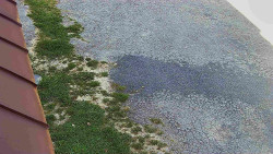 Nástup na běžecké tratě