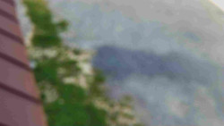 Nástup na běžecké tratě