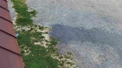 Nástup na běžecké tratě