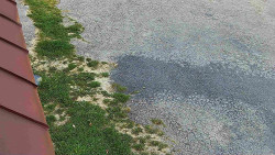 Nástup na běžecké tratě