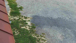 Nástup na běžecké tratě