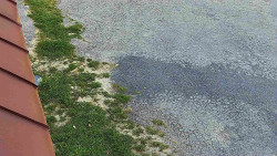 Nástup na běžecké tratě