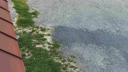 Nástup na běžecké tratě