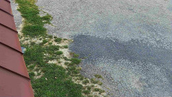 Nástup na běžecké tratě