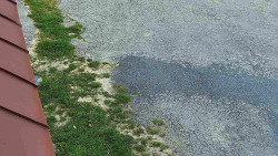 Nástup na běžecké tratě