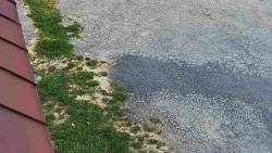 Nástup na běžecké tratě