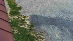 Nástup na běžecké tratě