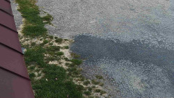 Nástup na běžecké tratě