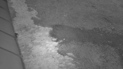 Nástup na běžecké tratě