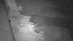 Nástup na běžecké tratě