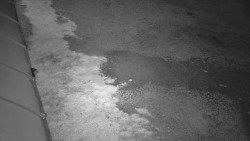 Nástup na běžecké tratě