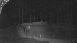 Nástup na běžecké tratě