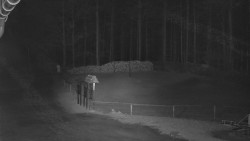 Nástup na běžecké tratě