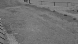 Nástup na běžecké tratě