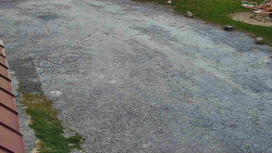 Nástup na běžecké tratě