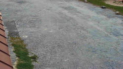 Nástup na běžecké tratě