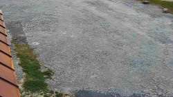 Nástup na běžecké tratě