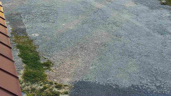 Nástup na běžecké tratě