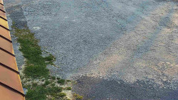 Nástup na běžecké tratě