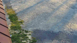 Nástup na běžecké tratě