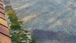 Nástup na běžecké tratě