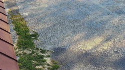 Nástup na běžecké tratě