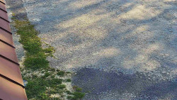 Nástup na běžecké tratě