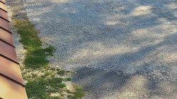 Nástup na běžecké tratě