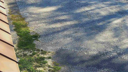 Nástup na běžecké tratě