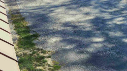 Nástup na běžecké tratě