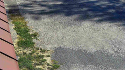 Nástup na běžecké tratě