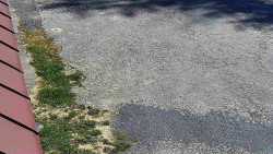 Nástup na běžecké tratě