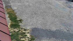 Nástup na běžecké tratě