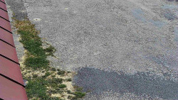 Nástup na běžecké tratě