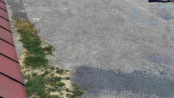 Nástup na běžecké tratě